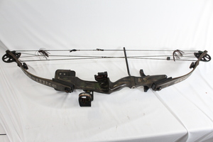 Hoyt fast flite Compound Bow