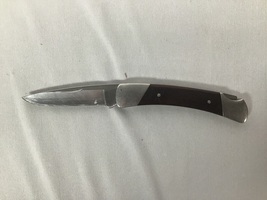 Buck 501 Pocket Knife