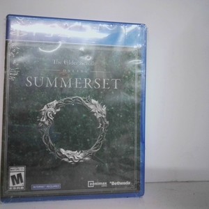  Summerset PS4 Game